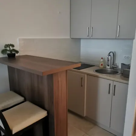 Apartman Andrej 62 *